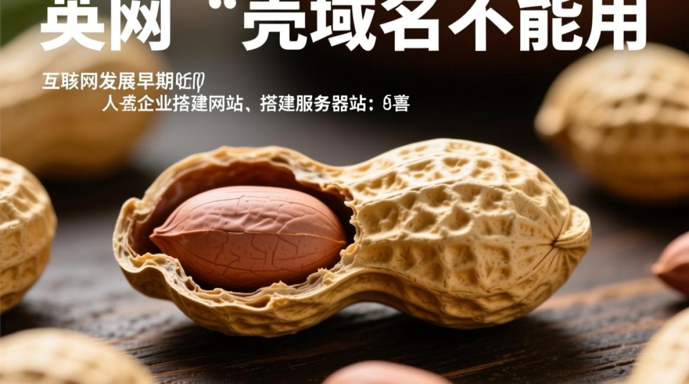 花生壳壳域名不能用怎么办？解决方法是什么？-好主机测评网