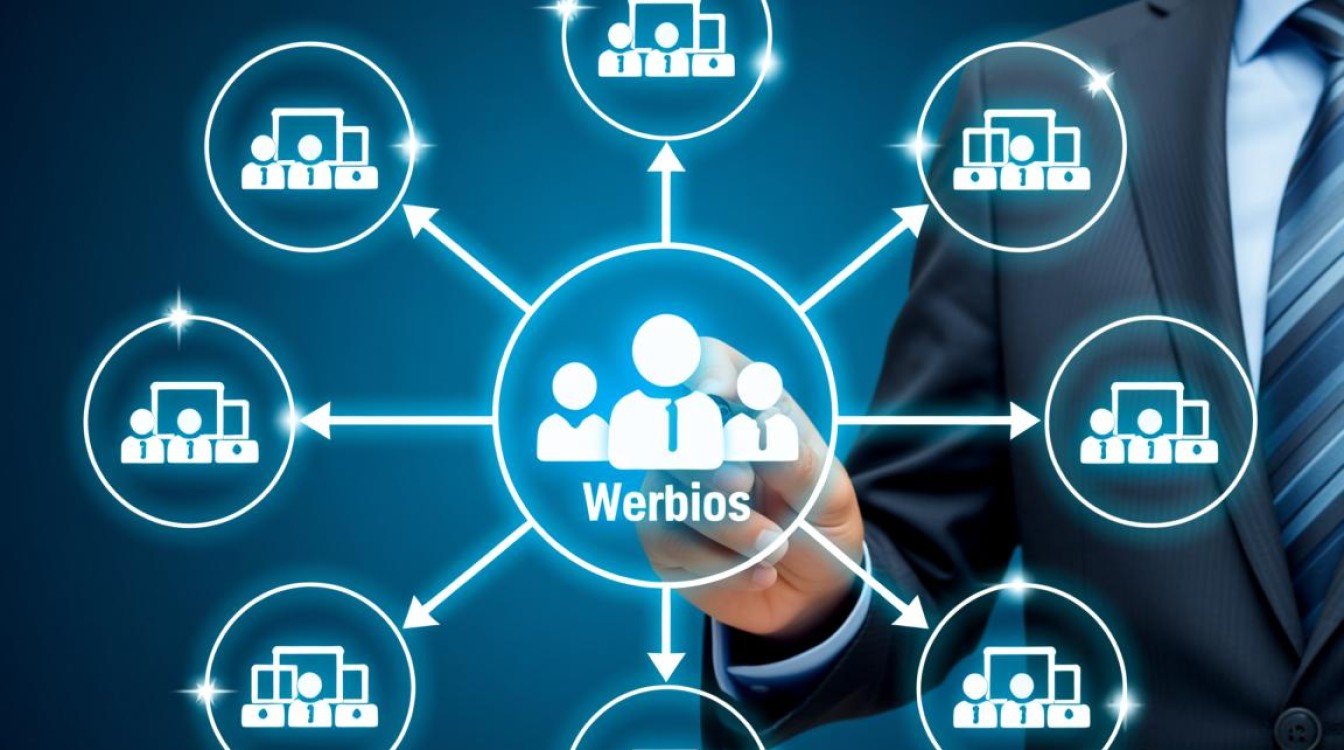 分域名指向不同网站，如何正确配置且避免SEO影响？