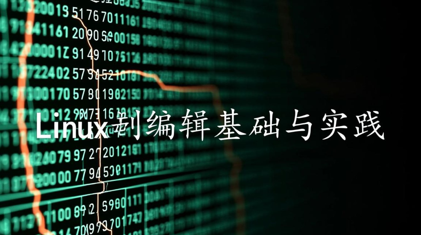 Linux二进制编辑怎么操作？入门到精通方法有哪些？-好主机测评网