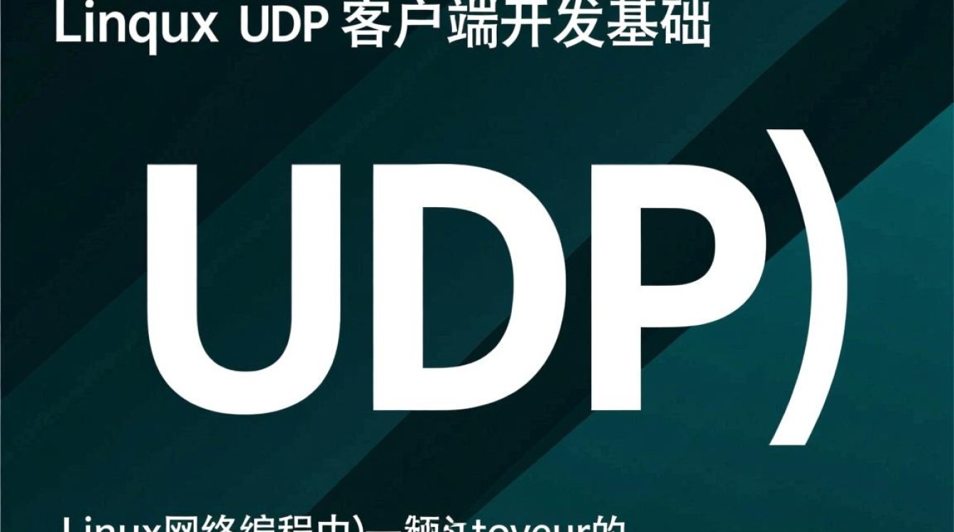 Linux UDP 客户端如何实现高效可靠的数据传输?-好主机测评网