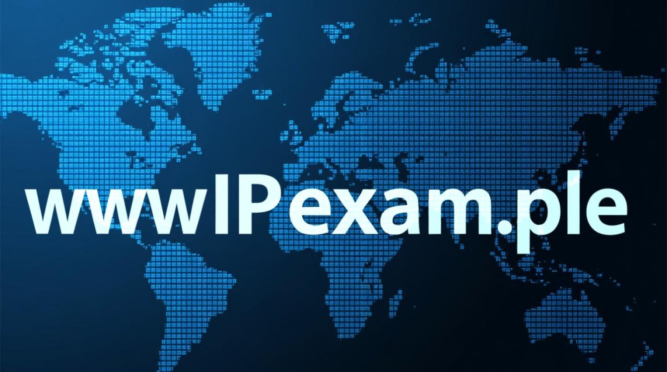 怎么根据域名查看IP地址？新手必学方法详解！