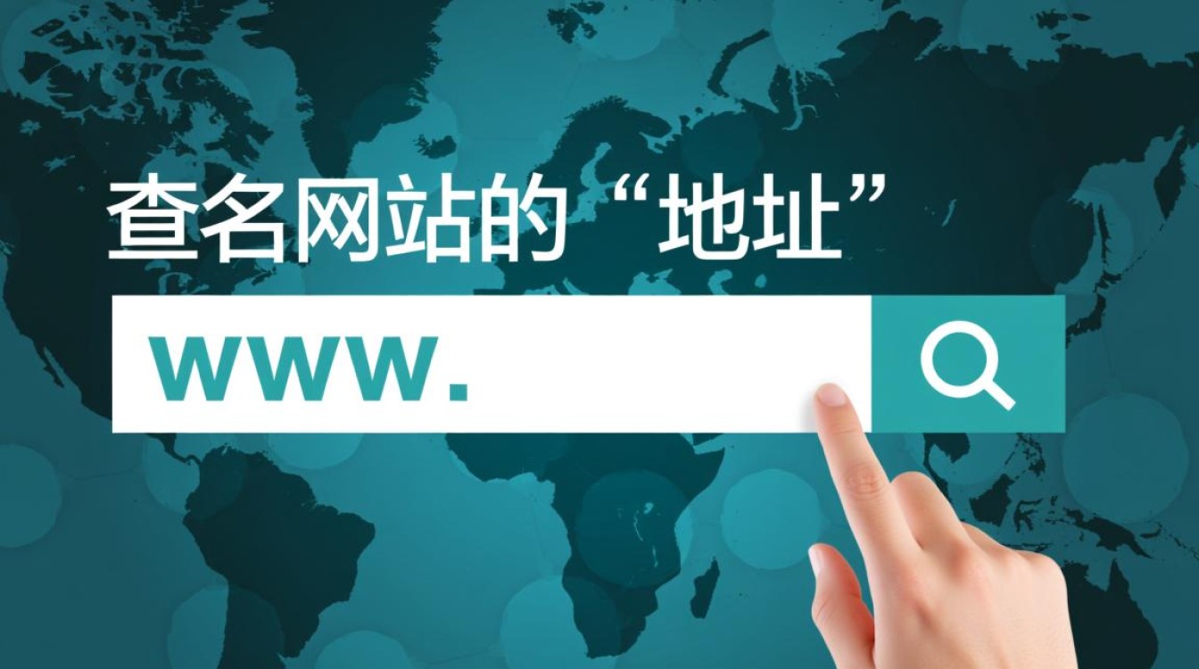如何查自己的域名？新手必看详细步骤指南-好主机测评网
