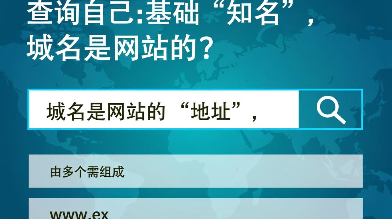 如何查自己的域名？新手必看详细步骤指南