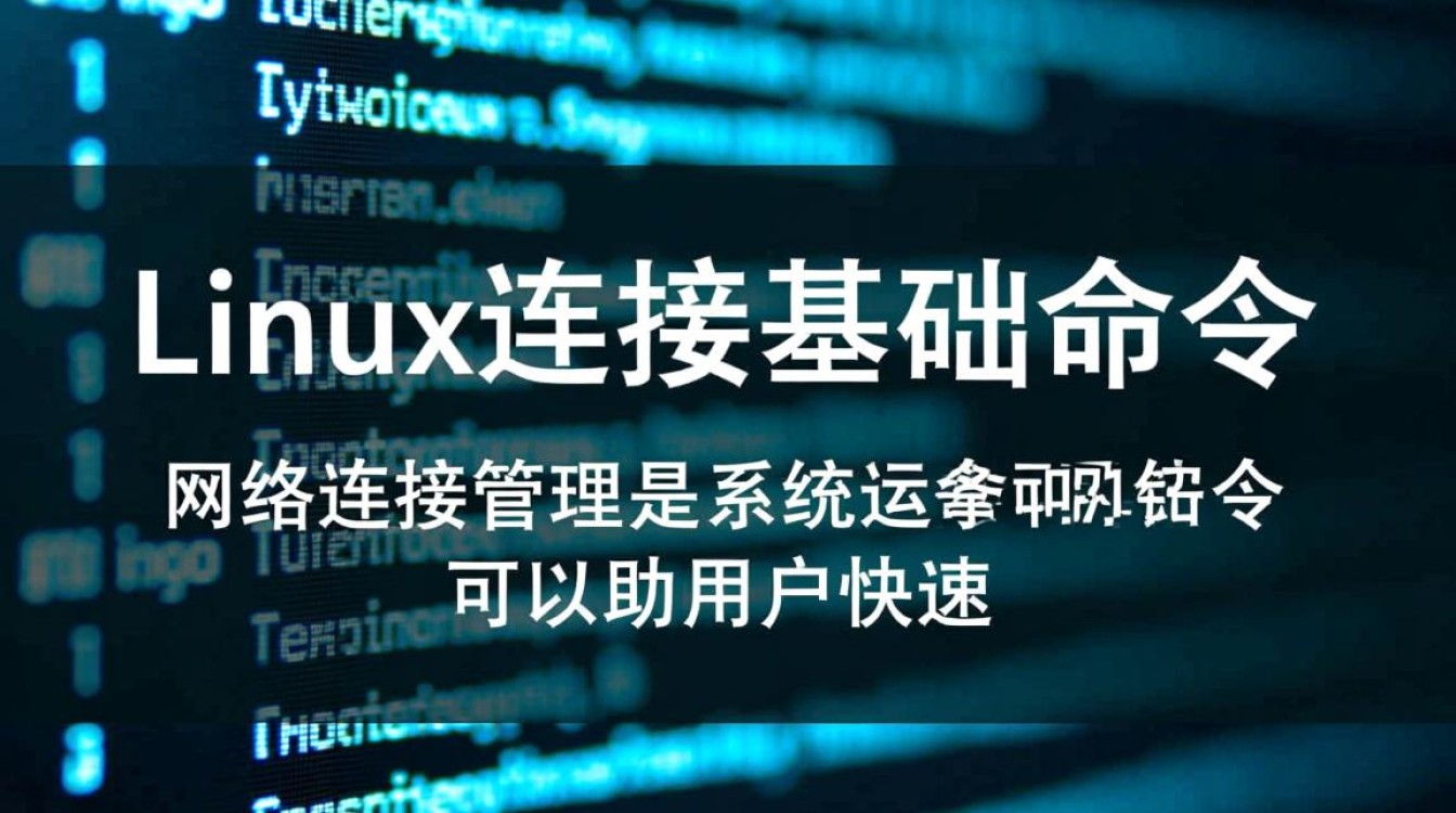 Linux连接网络命令有哪些？新手必学常用命令详解