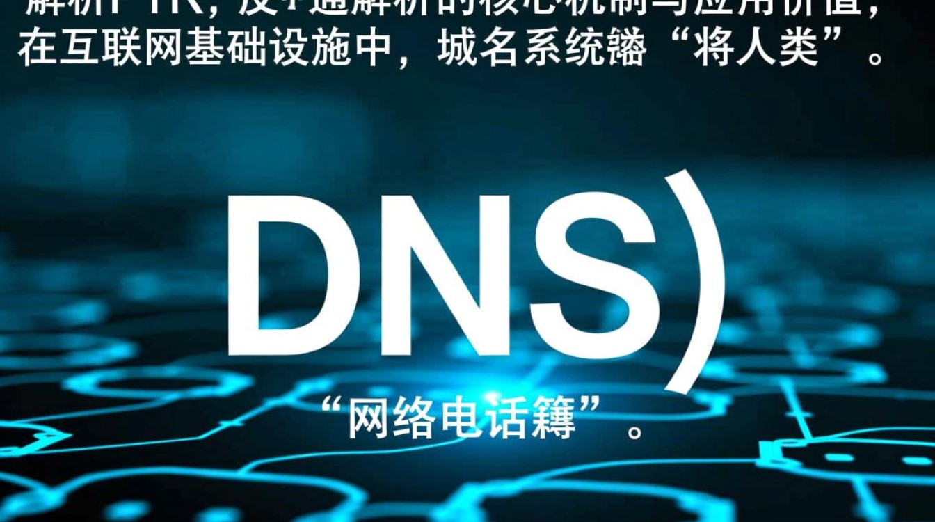 如何正确配置域名解析PTR记录及常见问题解决？