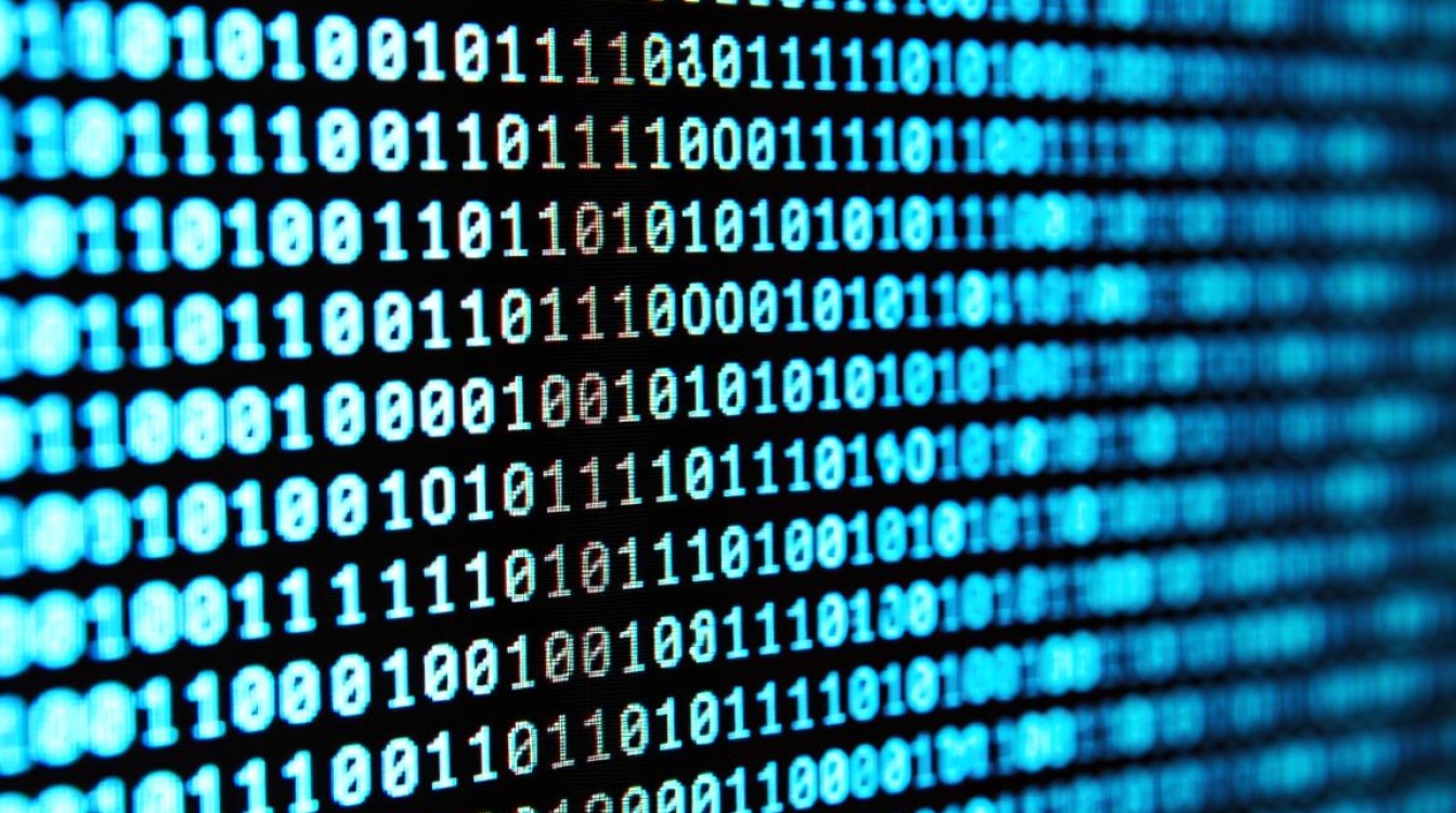 java中怎么存储二进制-好主机测评网