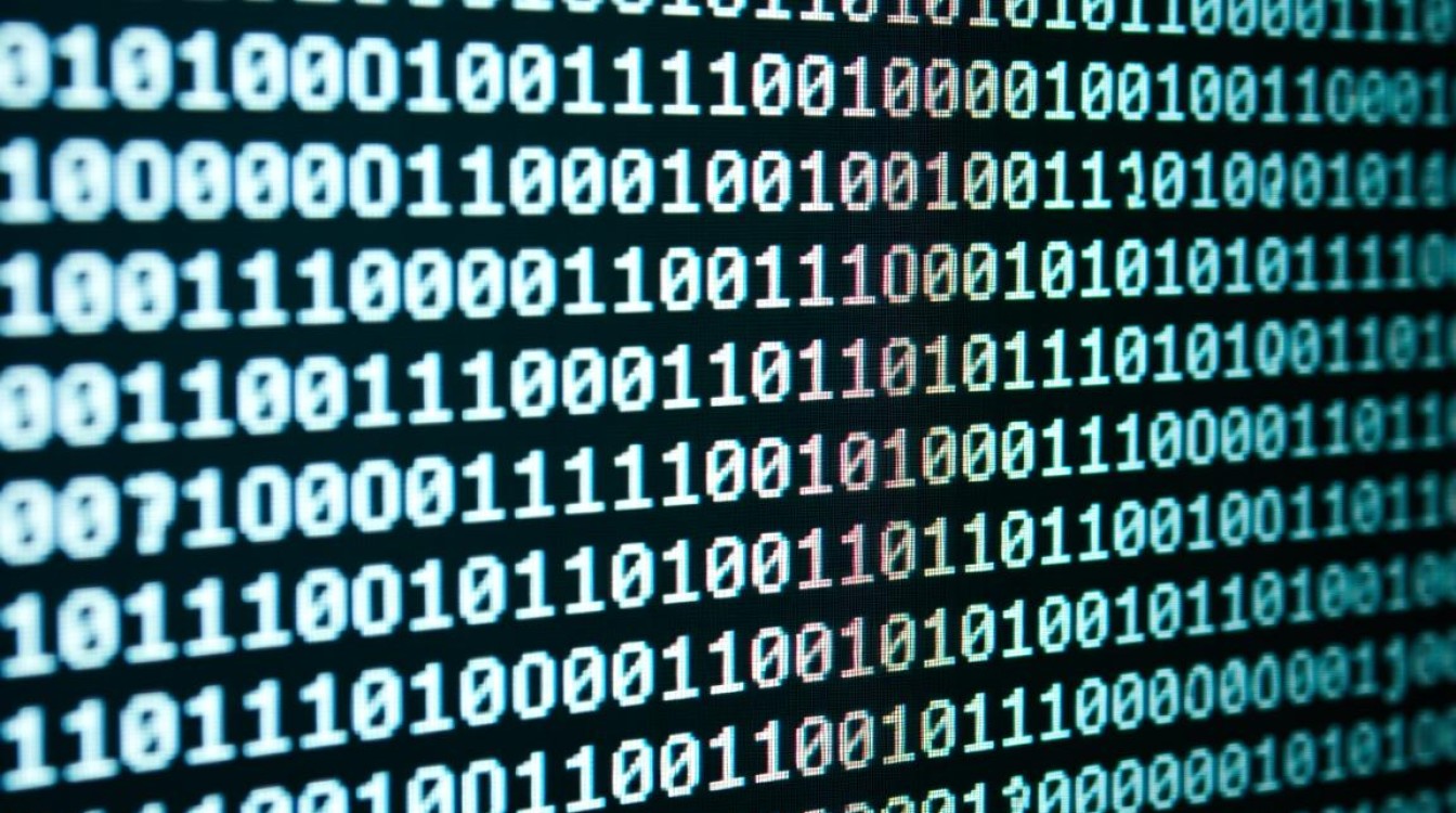 java中怎么存储二进制