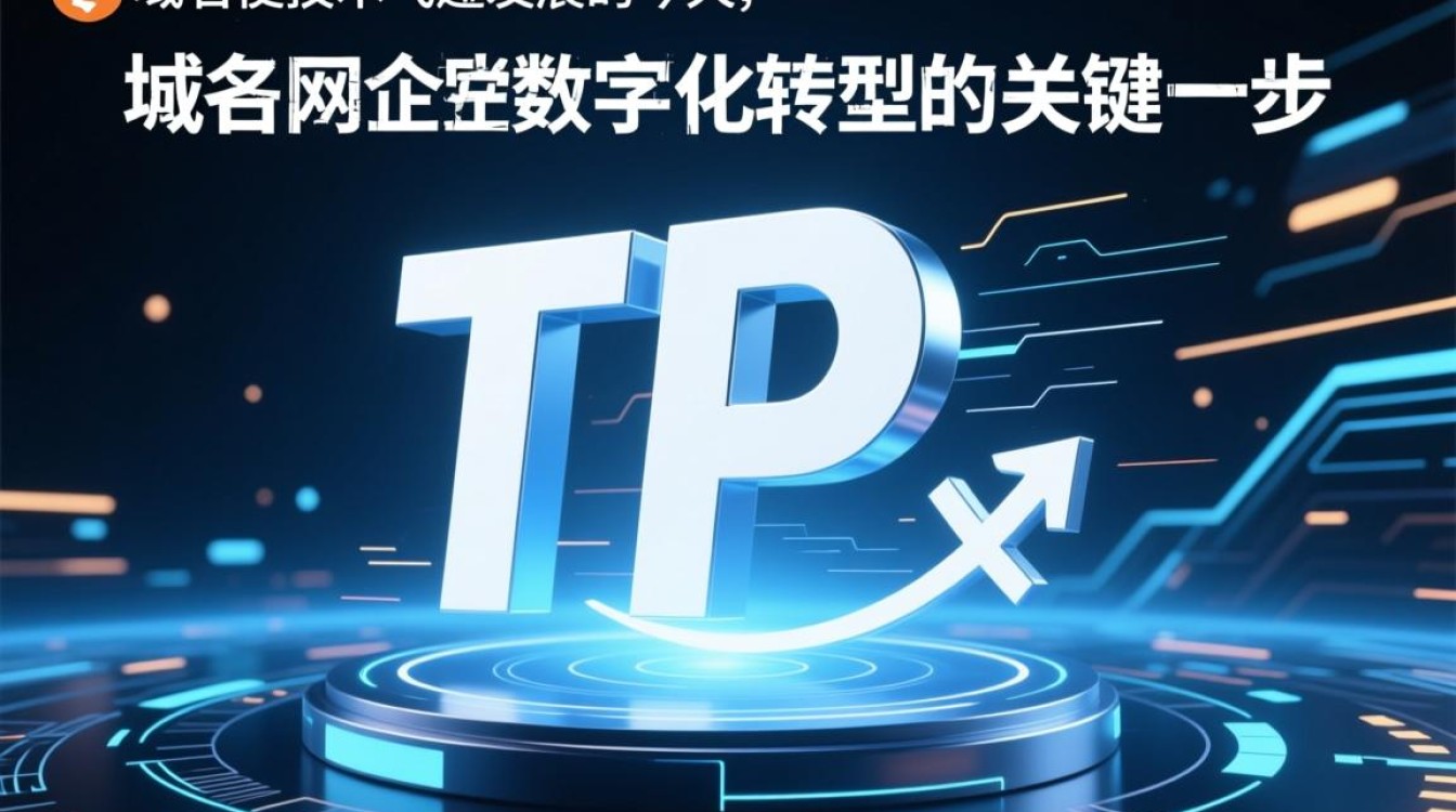 TP域名使用时如何正确配置与解析?-好主机测评网
