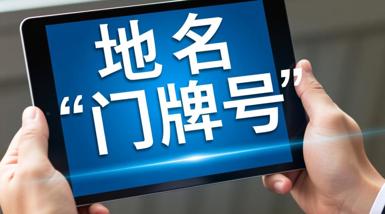 如何准确查询域名的当前市场价格？