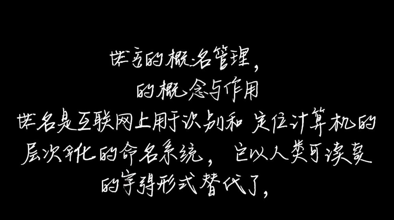 新手如何选择和管理域名？有哪些注意事项？