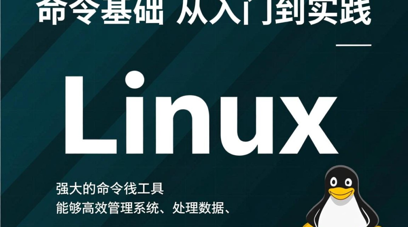 Linux新手必学，常用命令有哪些及怎么用？-好主机测评网