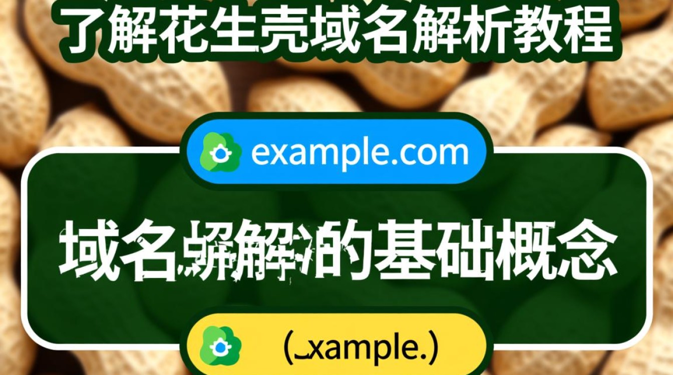 新花生壳域名解析教程新手怎么操作？步骤详解看这里！