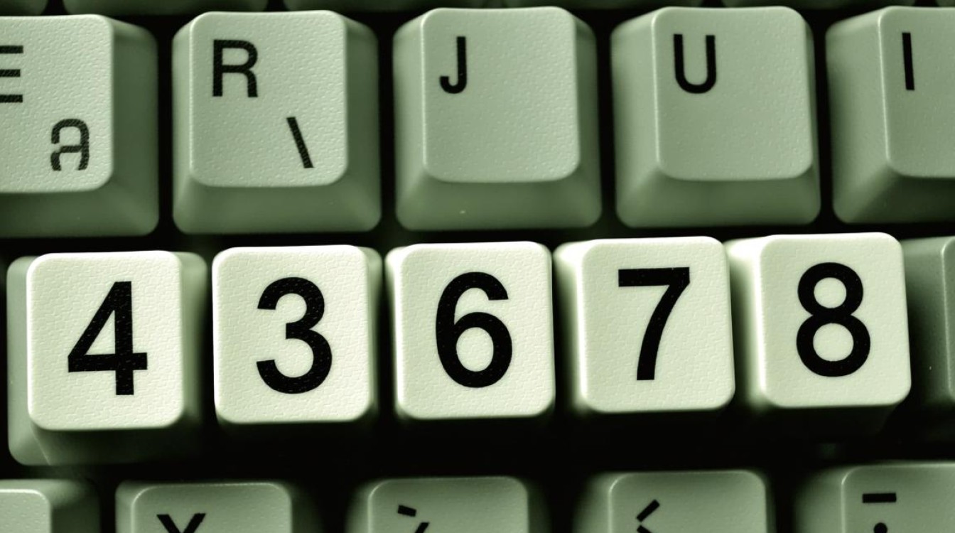 4位数字域名的网站有什么独特优势或用途？-好主机测评网