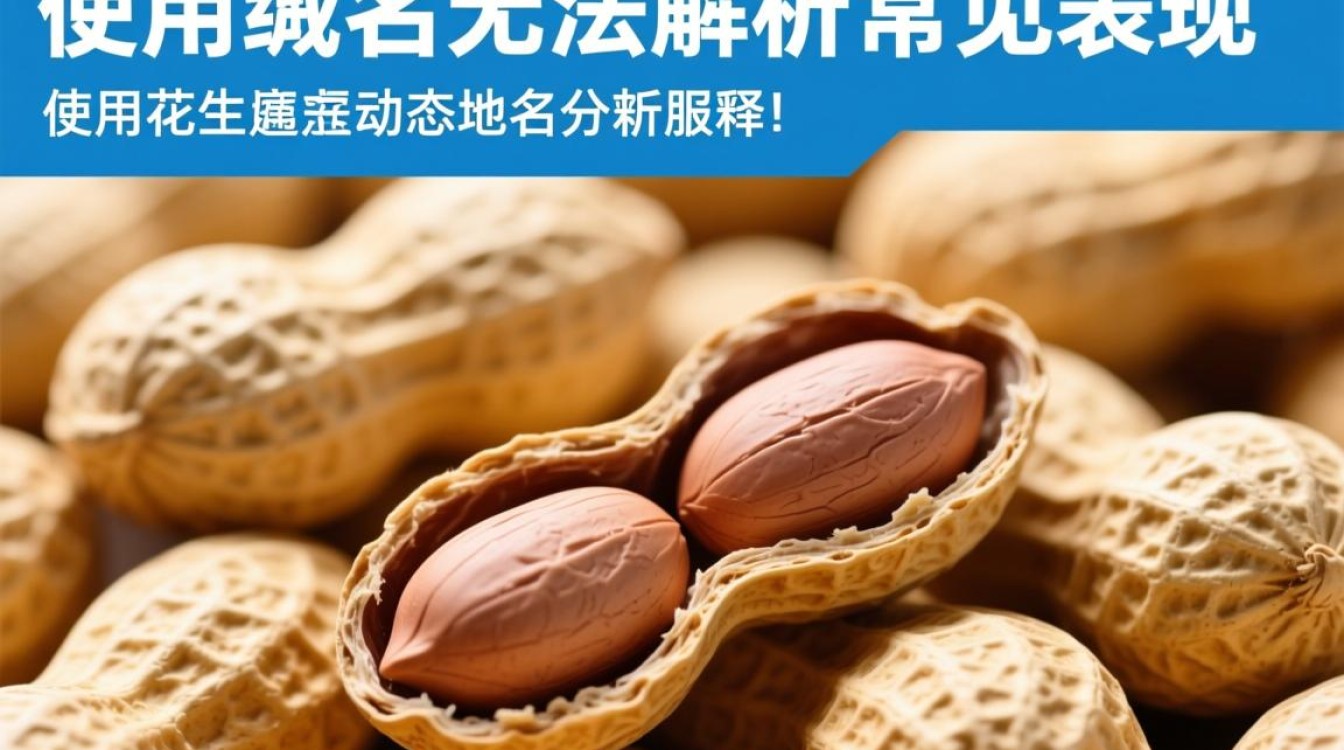 花生壳域名无法解析