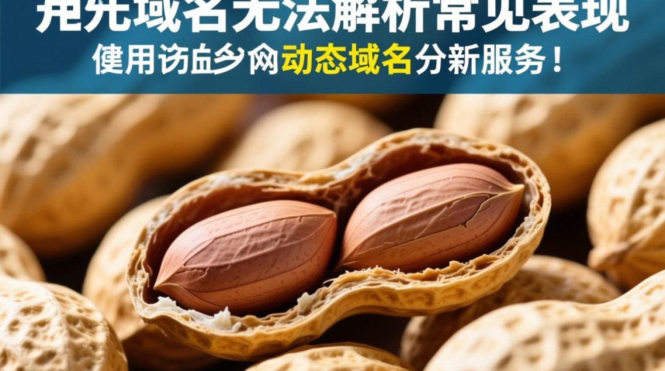 花生壳域名无法解析