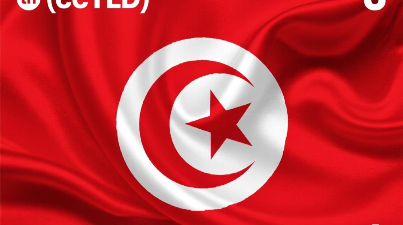 tn域名多少一年 tn域名多少一年