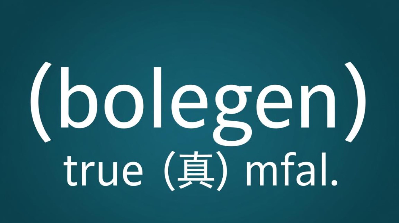 Java布尔类型怎么用？声明赋值与条件判断实例解析-好主机测评网