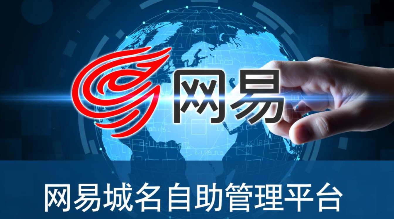 网易域名自助管理平台