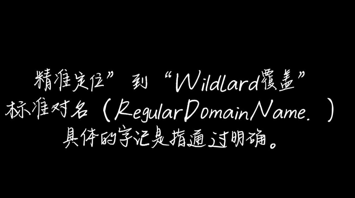 标准域名和泛域名区别是什么？适用场景如何正确选择？