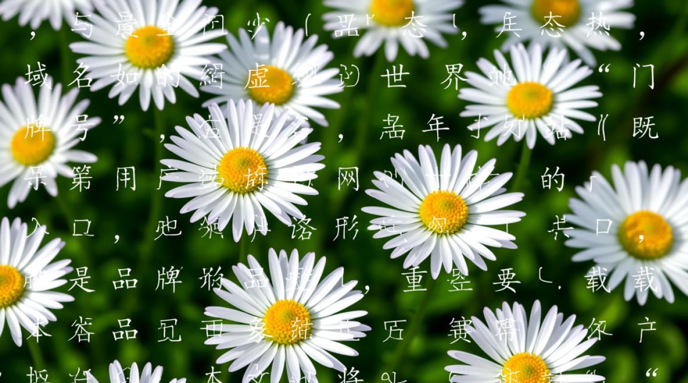 avmemo域名-好主机测评网