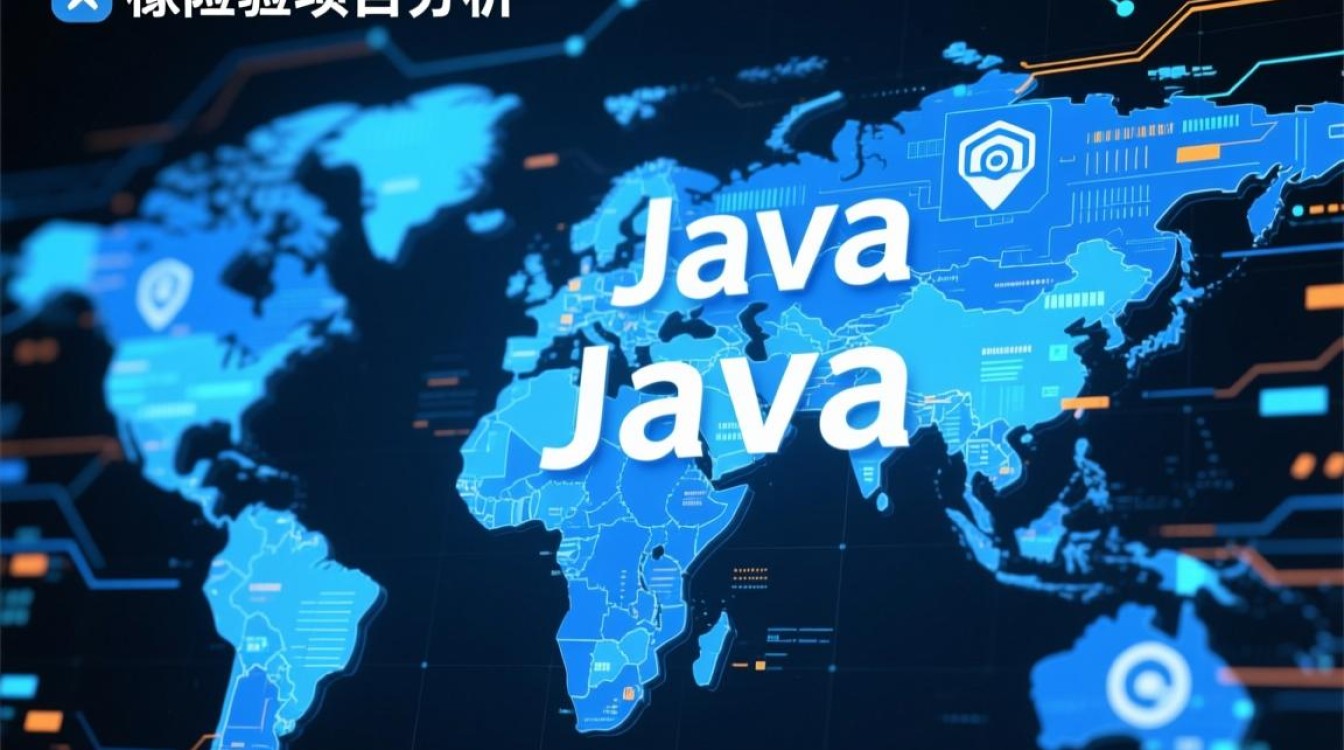 Java保险项目前景如何？有哪些潜在风险与挑战？