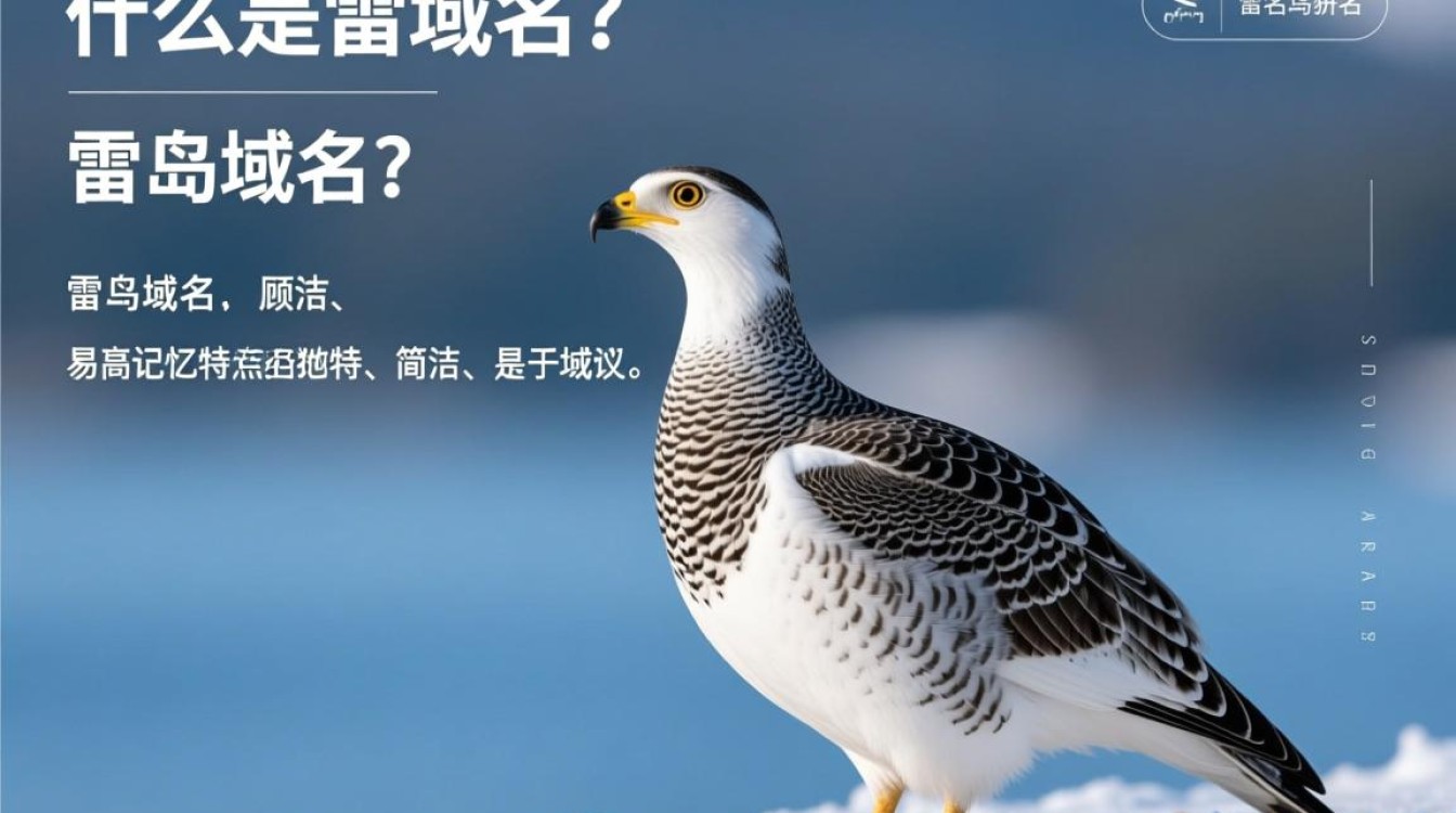 雷鸟域名究竟有何特殊之处，为何备受瞩目？