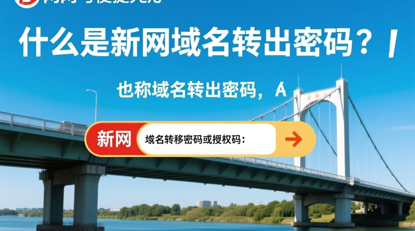 新网域名转出密码为何如此复杂？揭秘转出过程中的疑问与挑战！