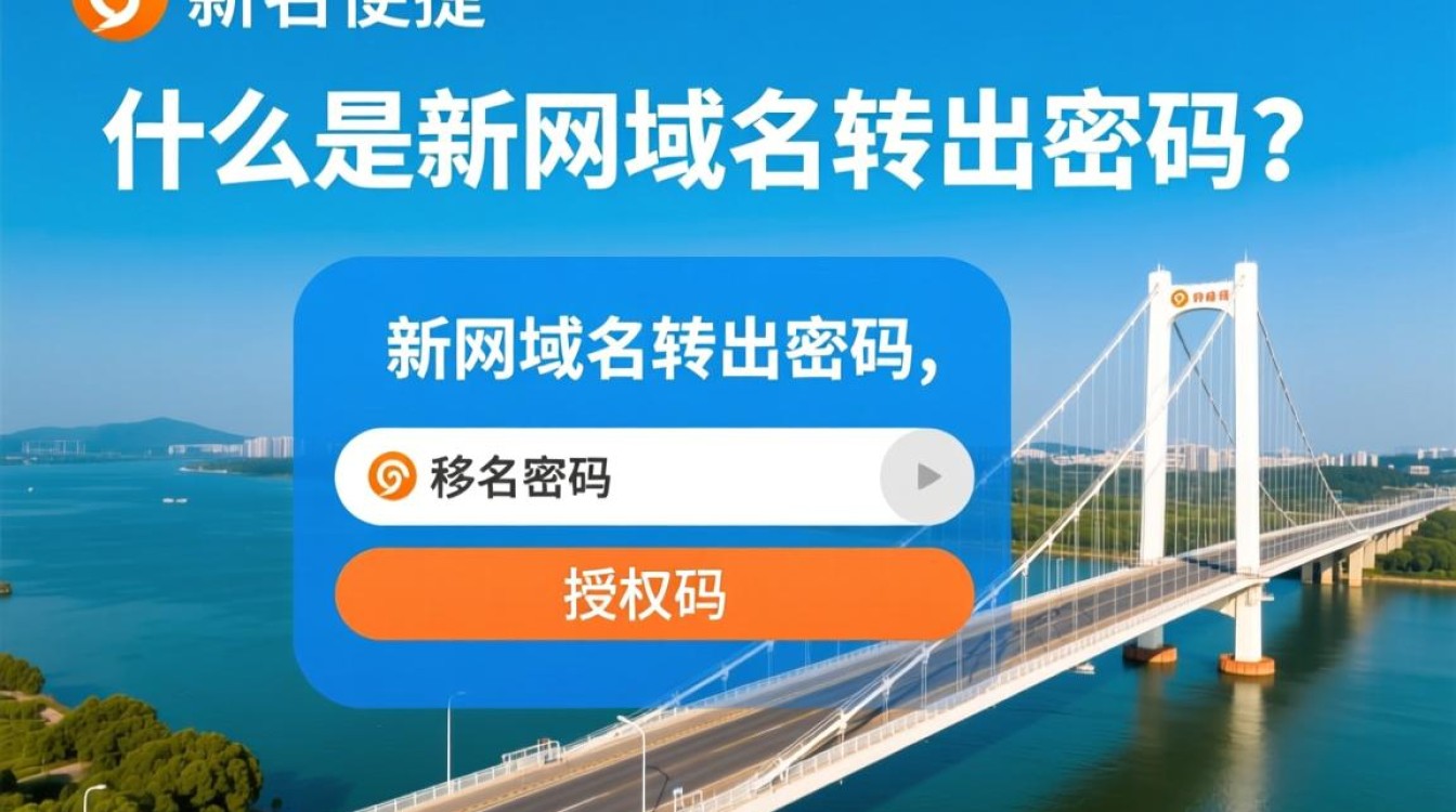 新网域名转出密码为何如此复杂？揭秘转出过程中的疑问与挑战！