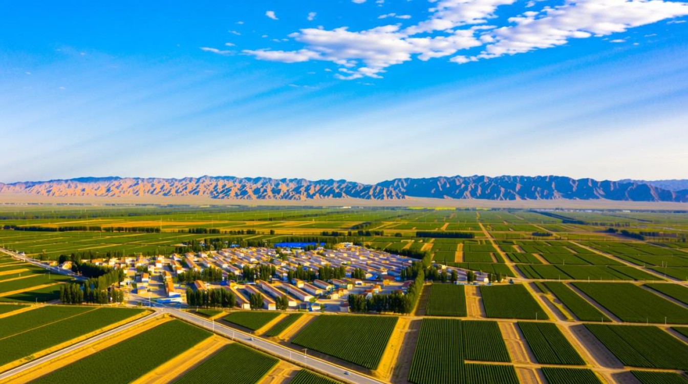 宁夏域名背后的故事，揭秘宁夏网络身份之谜？