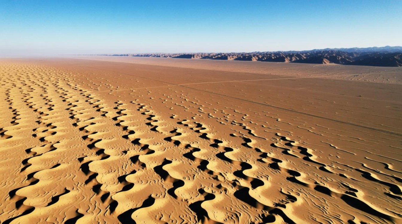宁夏域名注册有何独特优势？揭秘宁夏互联网发展之谜！