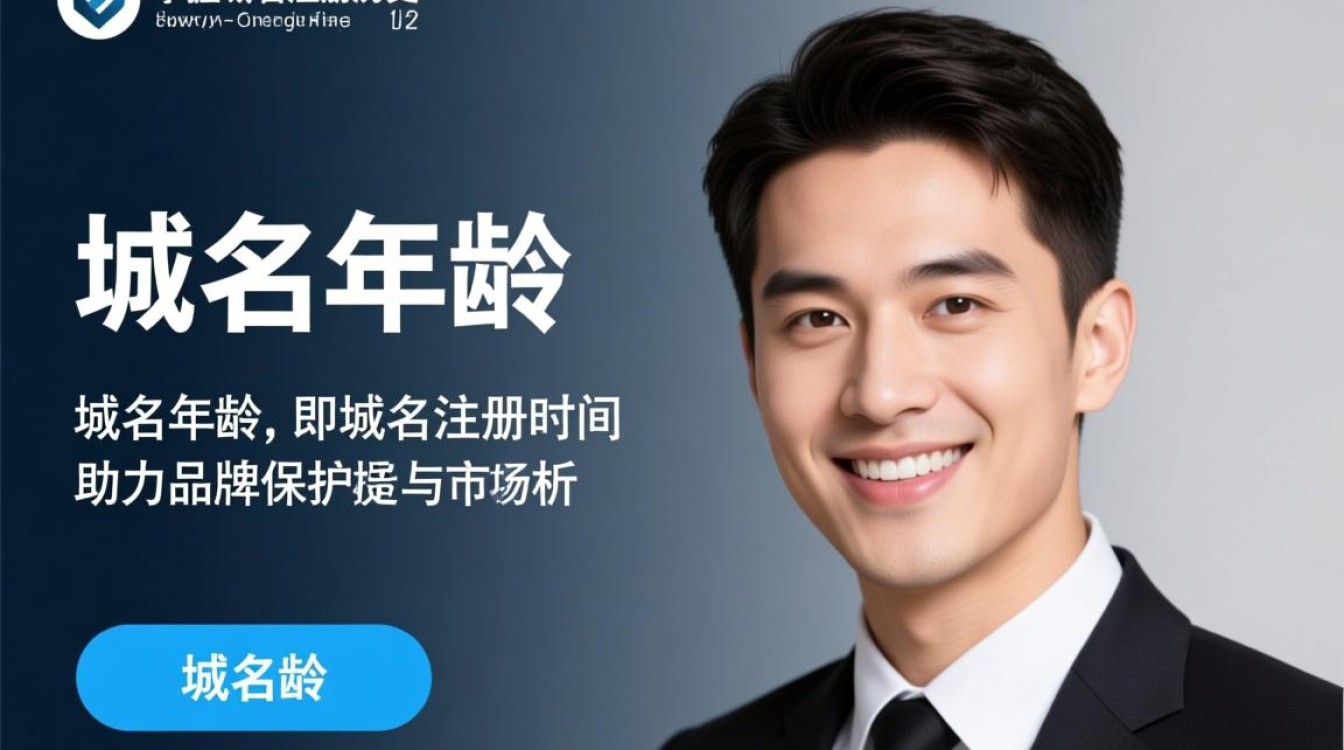 如何高效进行域名年龄批量查询?有哪些实用工具和方法? 如何高效进行域名年龄批量查询?有哪些实用工具和方法?