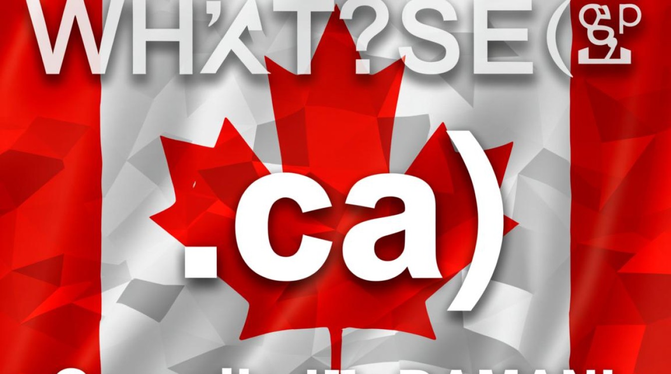 加拿大域名注册，有哪些独特优势与注意事项？