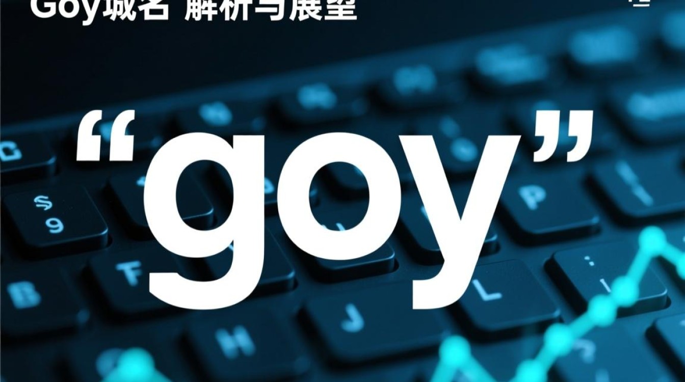 goy域名究竟有何特殊之处？为何备受关注？