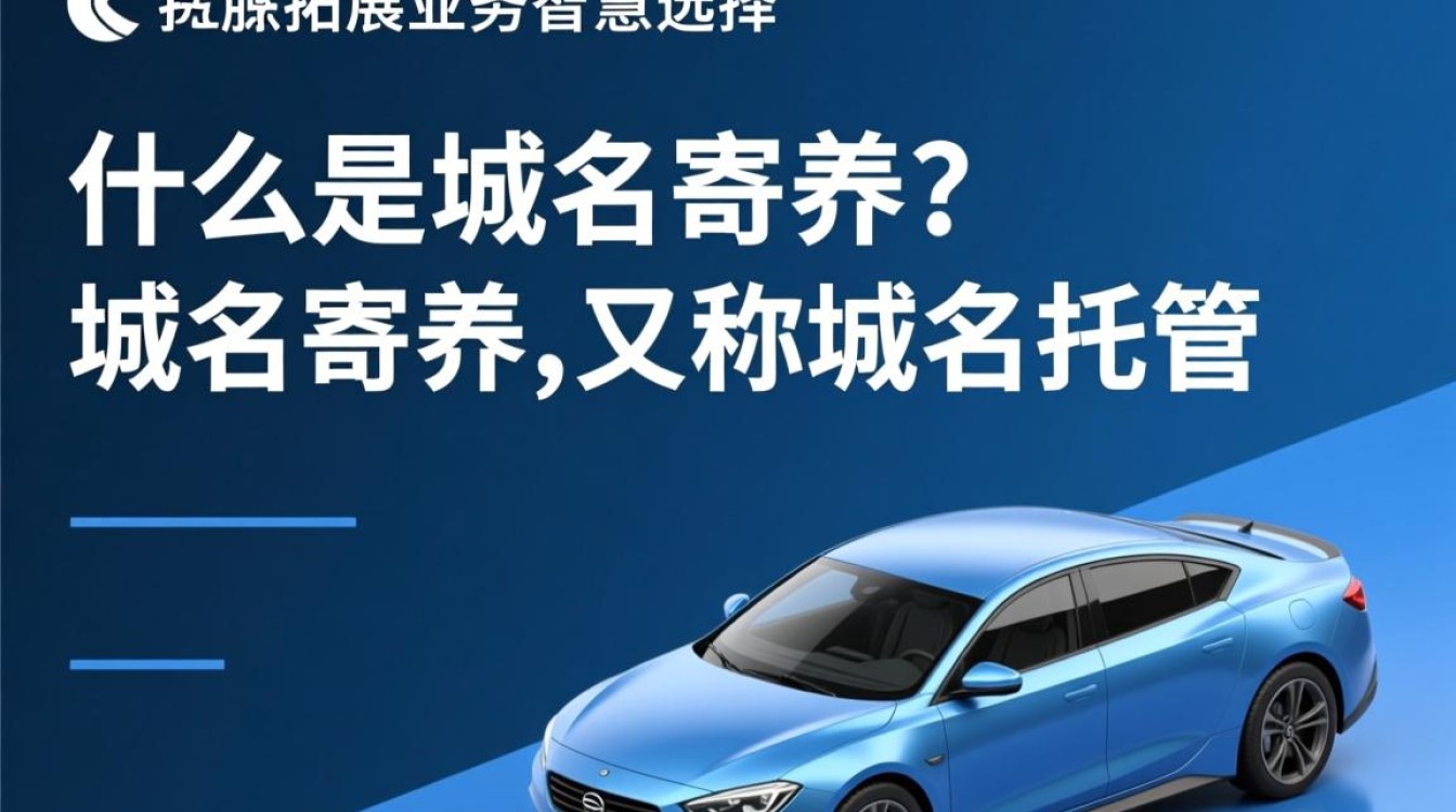 域名寄养背后隐藏的商业模式和市场疑问有哪些？