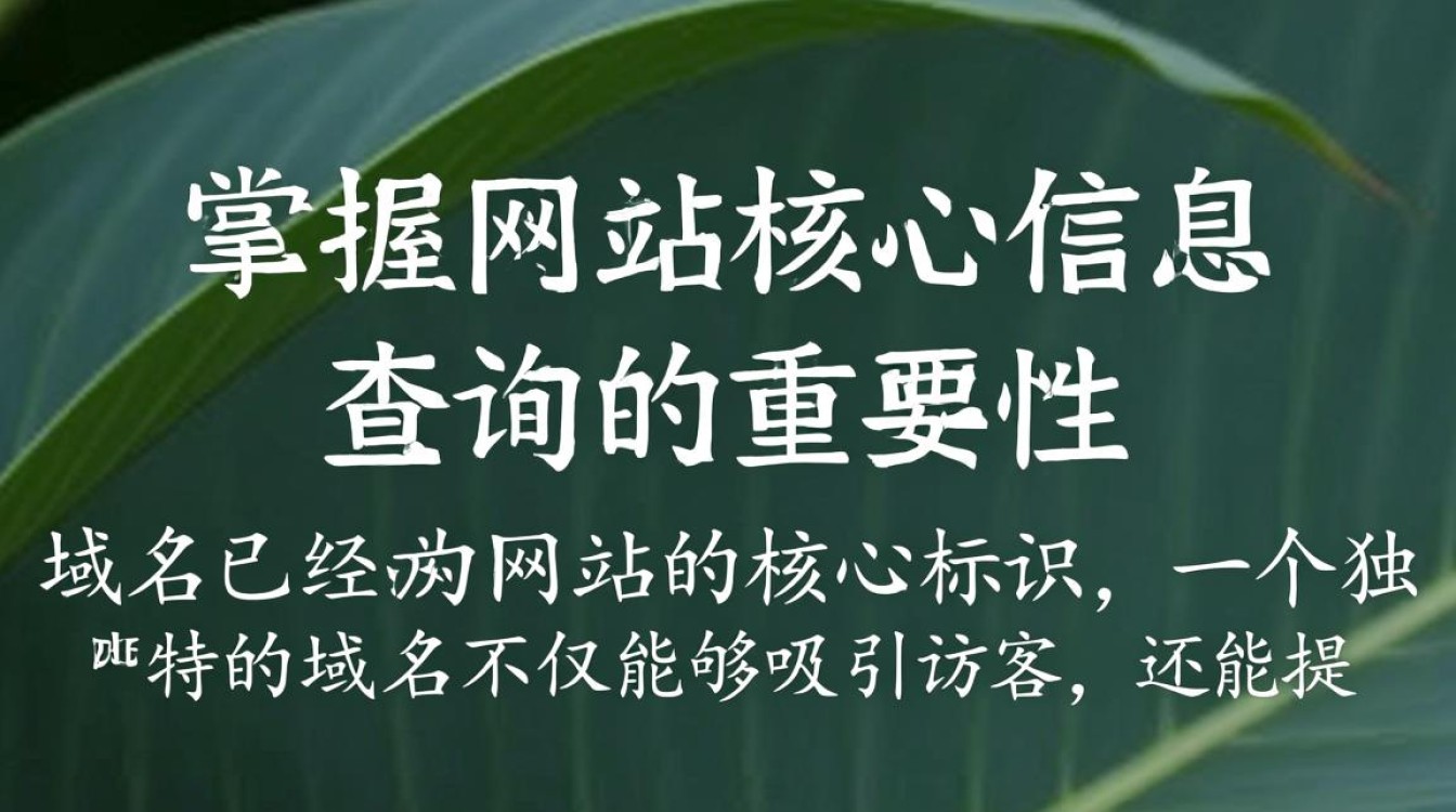查询如何准确高效地获取网站标题信息？