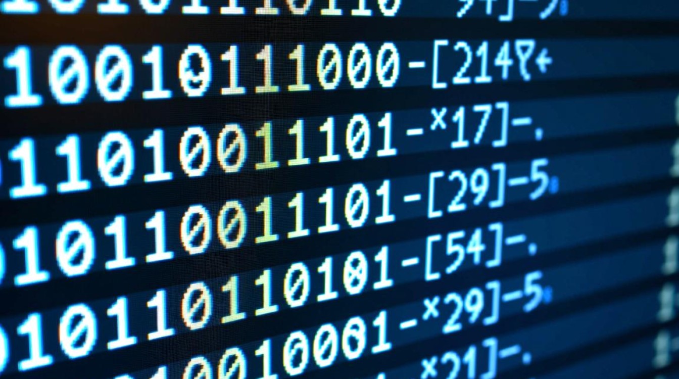 Java中如何精确判断一个整数的二进制表示？