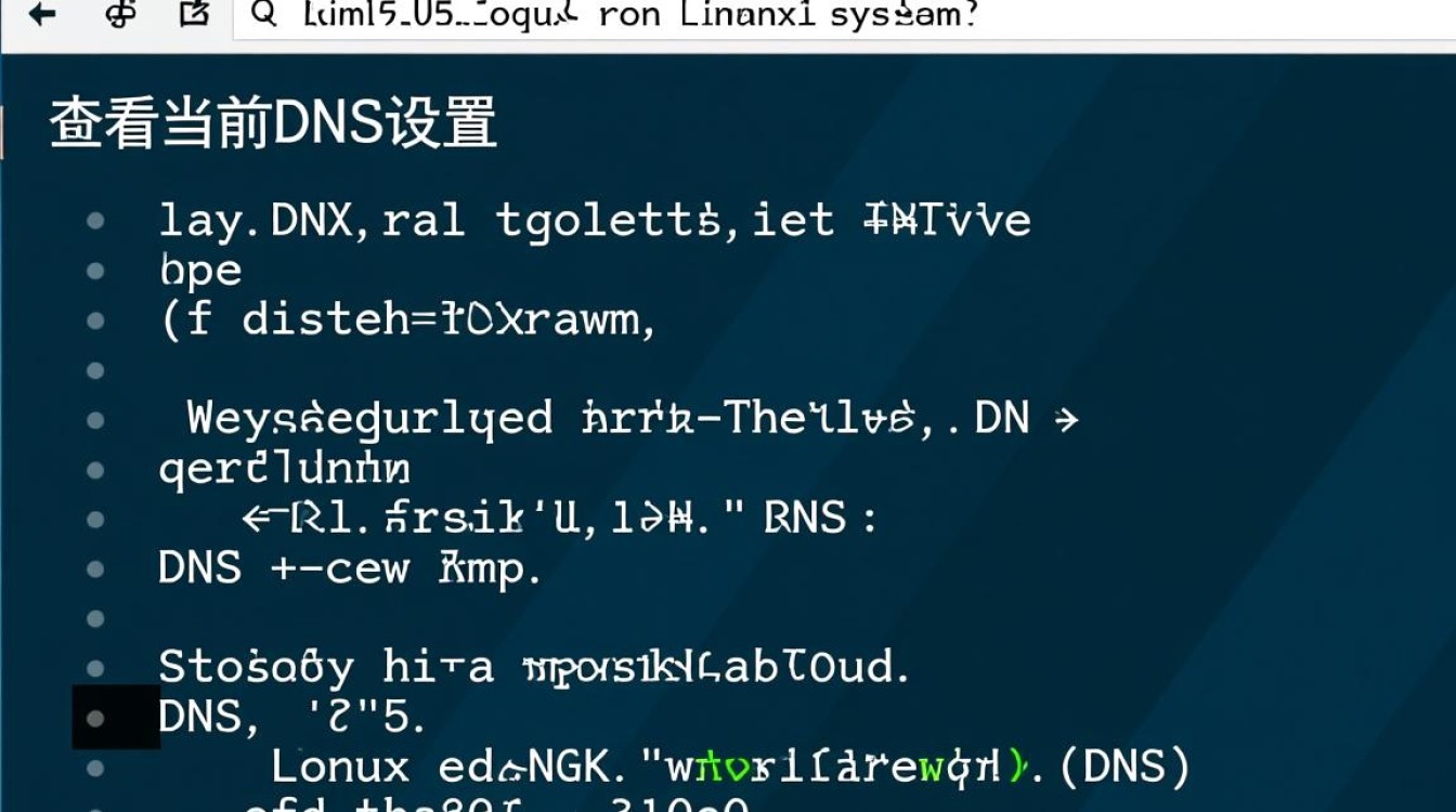 Linux环境下如何高效获取和配置DNS设置？