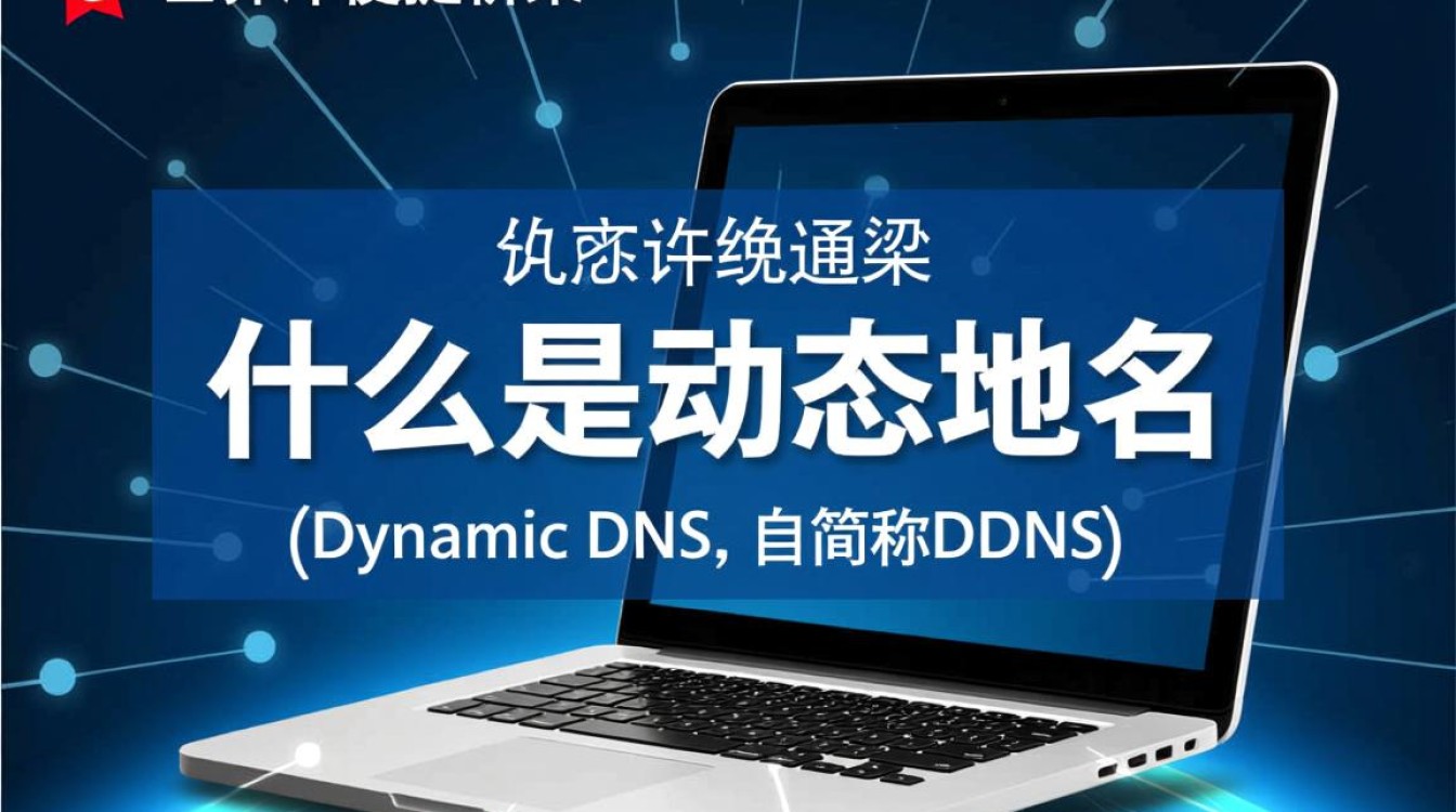 动态域名 顶级域名如何选择合适的域名类型以优化网站性能？-好主机测评网