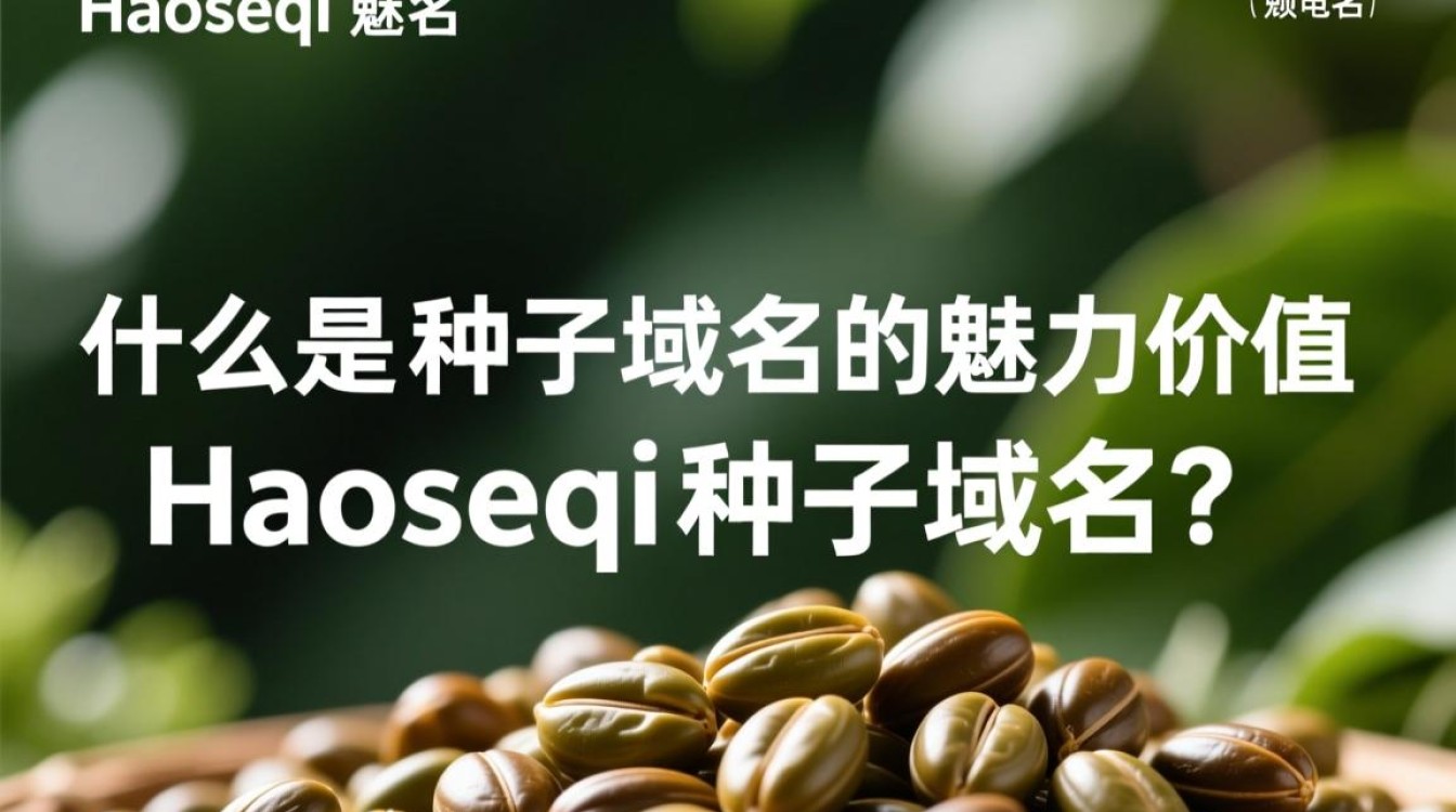 haoseqi种子域名究竟有何独特之处，使其成为热议焦点？-好主机测评网