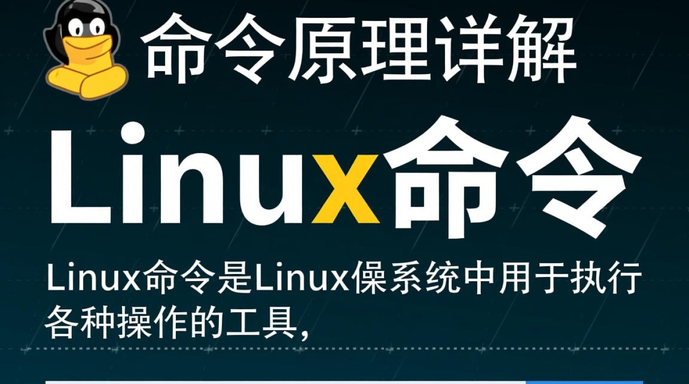Linux命令原理，深入解析背后的操作机制和原理是什么？