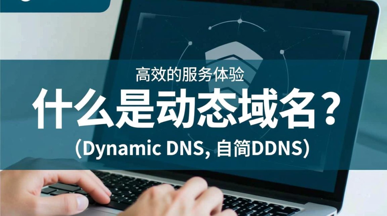 金万维动态域名注册,究竟有何独特优势,为何备受关注?-好主机测评网