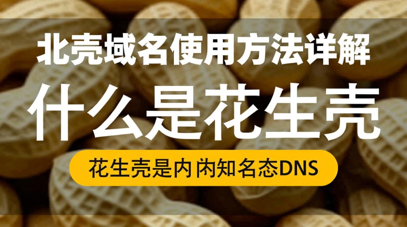 花生壳域名如何正确设置与应用？详细使用方法详解！