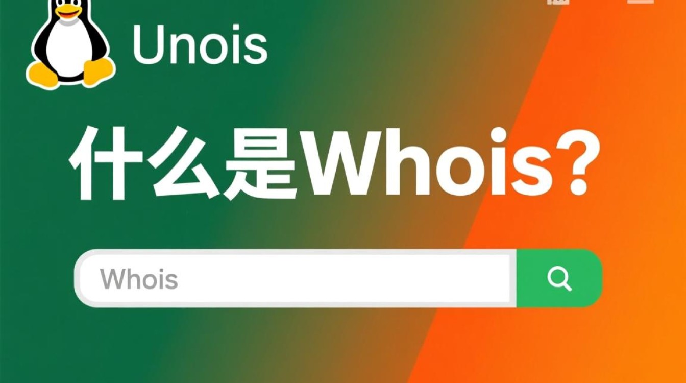 Linux环境下使用whois查询域名信息，有哪些常见问题与解决方法？