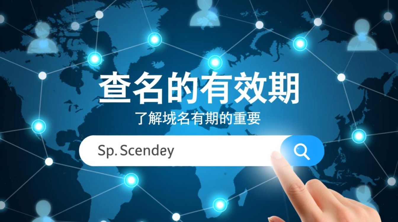 如何准确查询并确定一个域名的具体有效期？