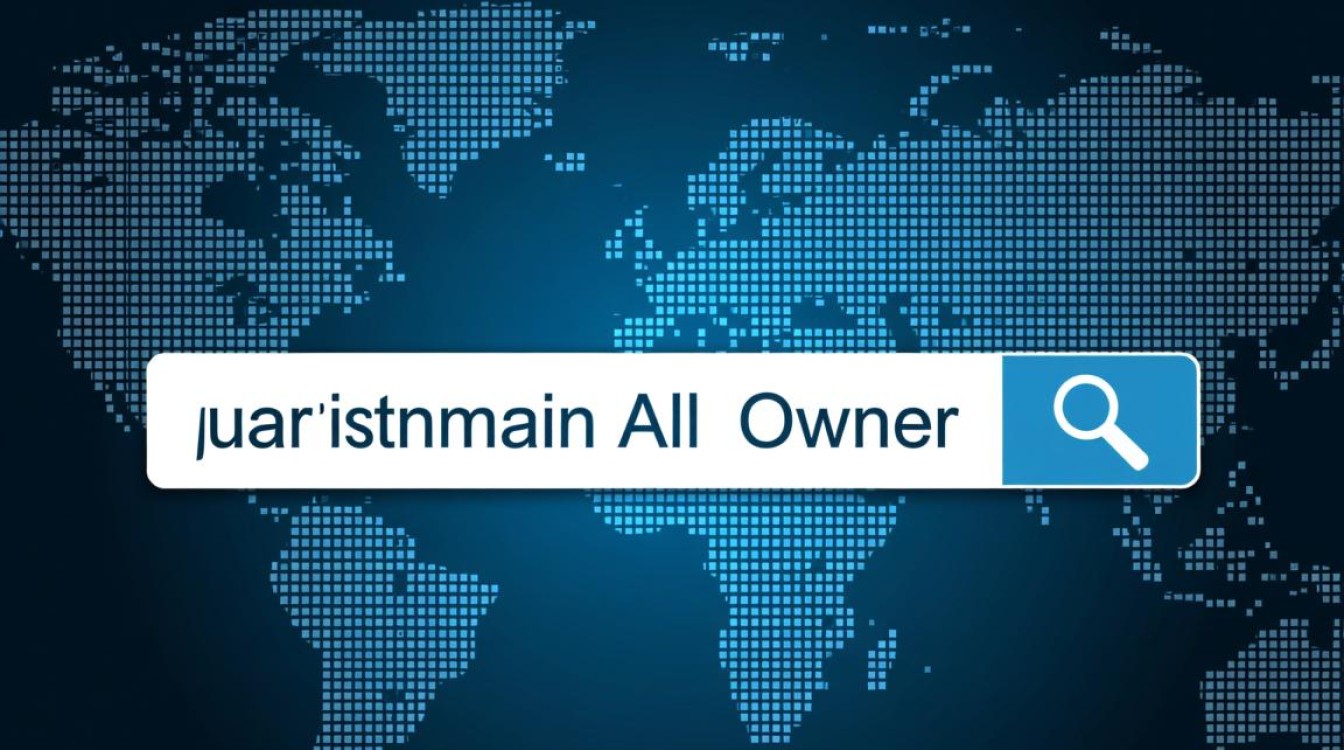 如何精确查询某个域名背后的所有者信息？