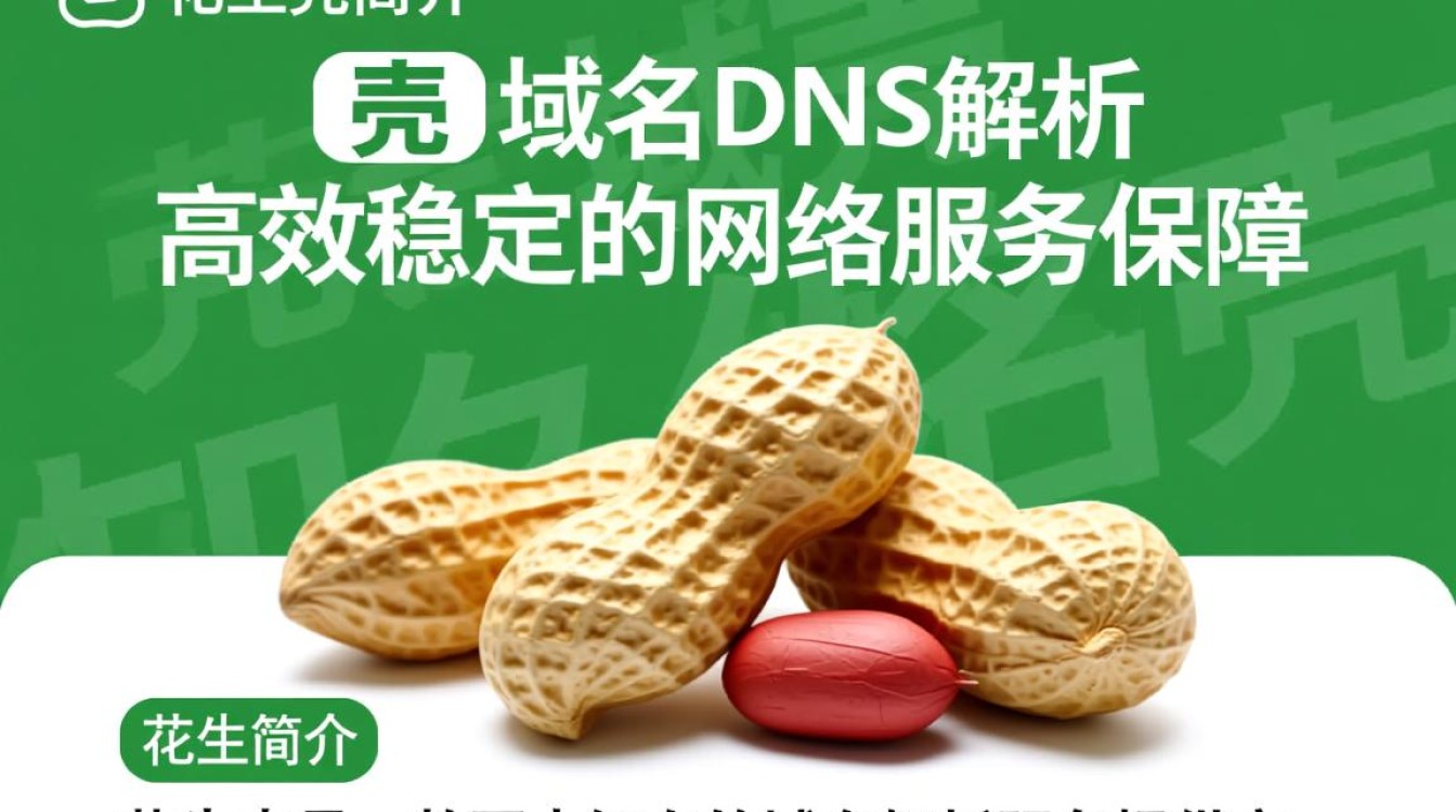 花生壳域名DNS解析，如何高效设置与优化？