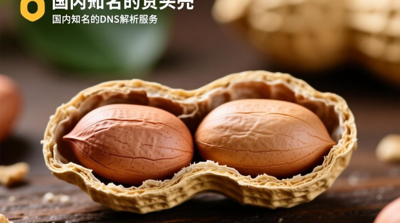 花生壳配置中如何添加个人域名？