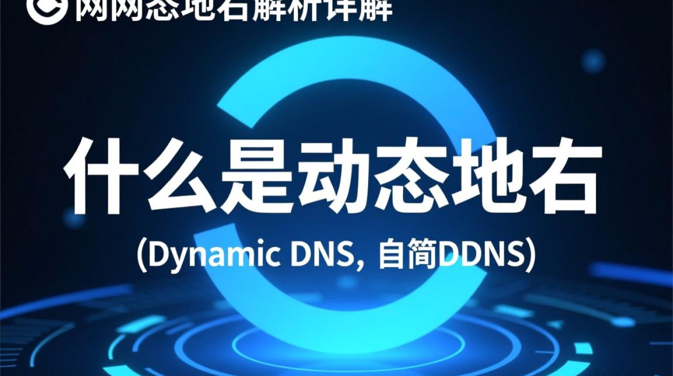 希网动态域名究竟是什么？功能及用途揭秘！