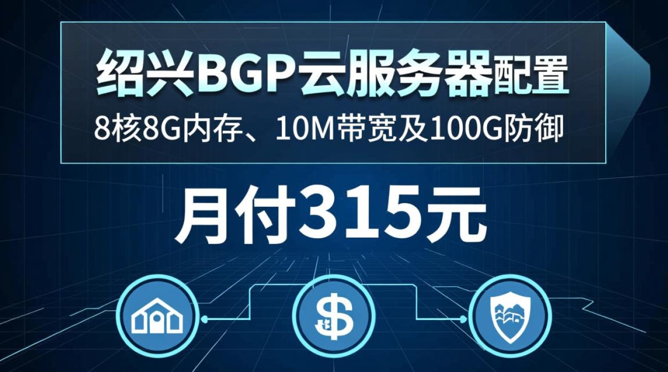 绍兴BGP云服务器315元/月值吗？与国外VPS相比，性能和价格如何？
