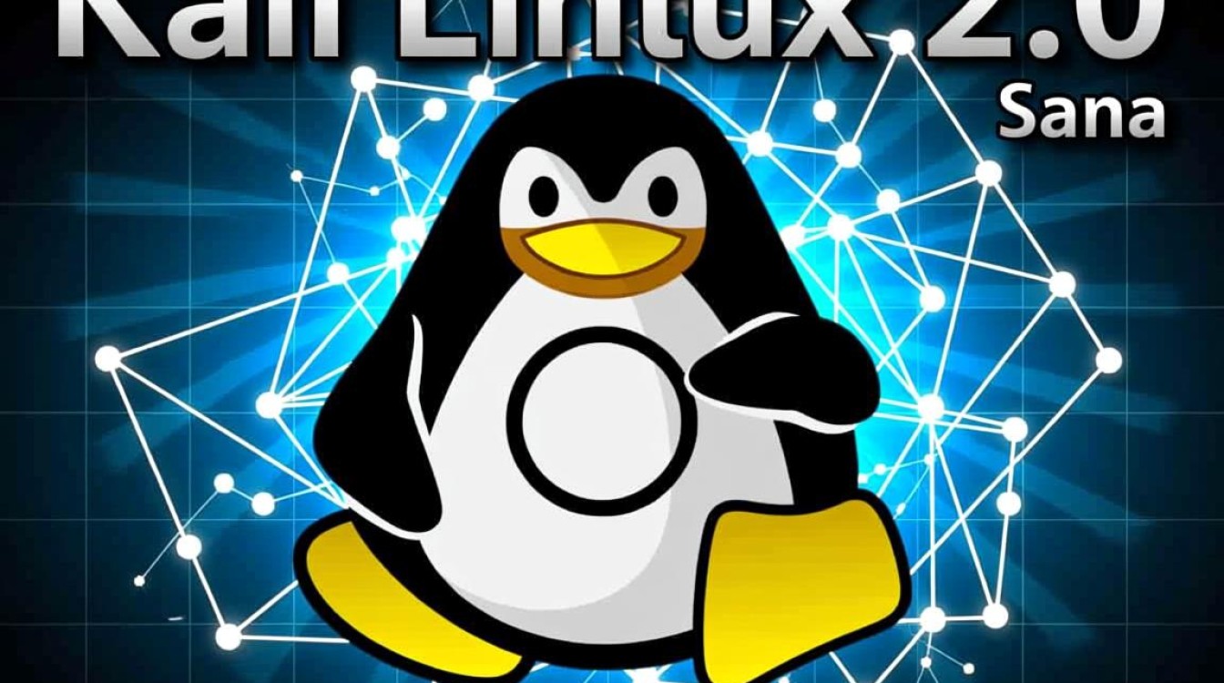 Kali Linux 2.0安装时遇到哪些常见问题与解决方法？